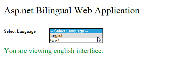 ASP.Net Multilingual Web Application