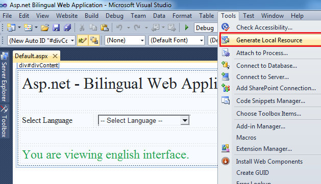 ASP.Net Multilingual Web Application